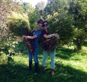 1236067_10151712022194143_2060192114_n