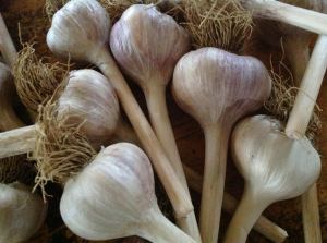 1401452_10151804676643667_733394554_o