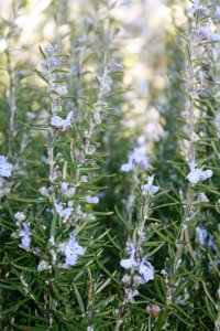 417002_10150634698983667_1040963681_n