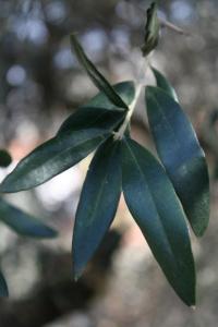 418275_10150634683113667_1715132840_n