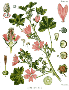 Screen Shot 2015-10-22 at 15.02.53