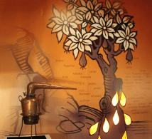 Screen Shot 2015-10-29 at 10.16.18