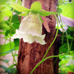 Screen Shot 2015-10-29 at 19.17.44